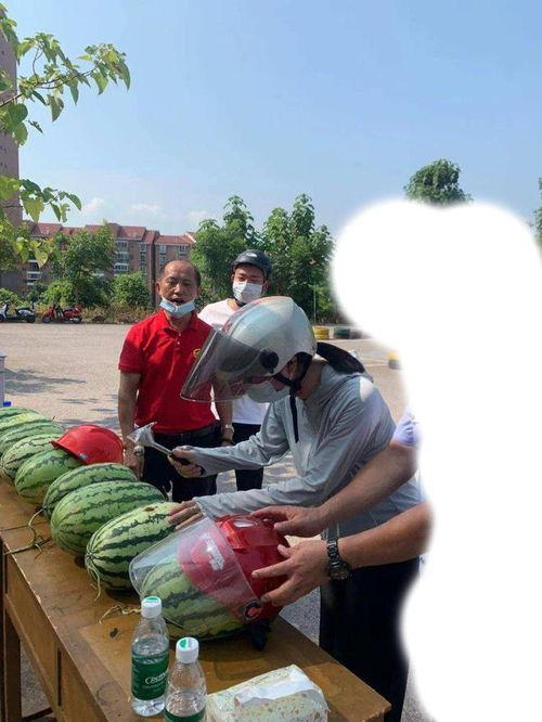 德国吃瓜事件,一场引发国际关注的误会与反思