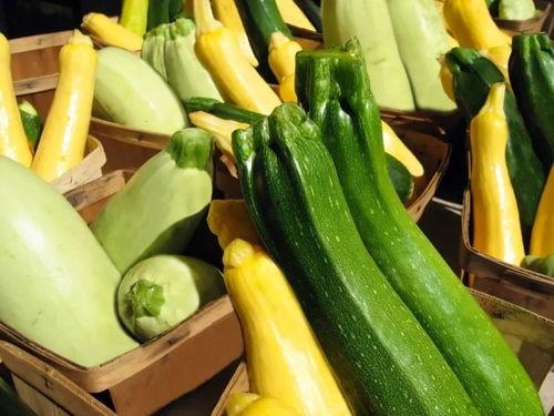 带你吃瓜 重庆,带你吃遍山城特色瓜果飘香