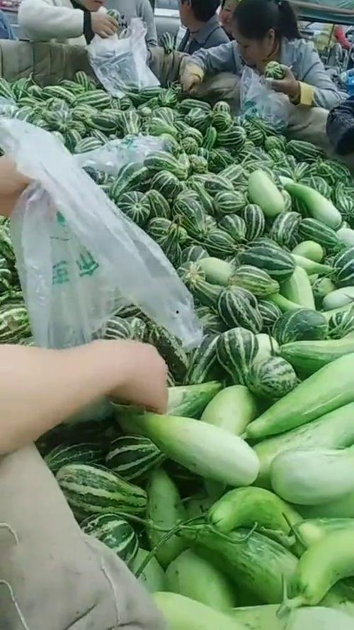 山东吃瓜大叔,揭秘民间美食背后的故事