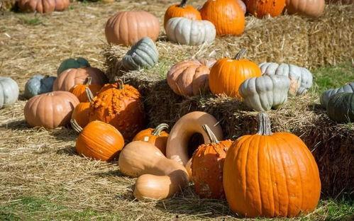 南铁吃瓜群众,揭秘铁路行业那些事儿