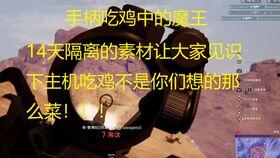 呆瓜吃鸡图片,欢乐逗趣的田园生活瞬间