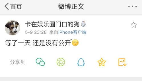 吃瓜爆料模板图,最新吃瓜爆料，带你一探究竟！