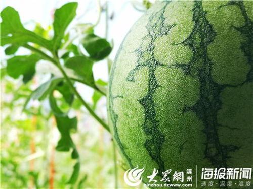 吃瓜影视 地址,带你走进热门影视幕后故事