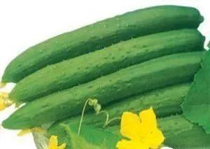 夏季吃三瓜,西瓜、黄瓜、苦瓜，清凉一夏尽享美味与健康