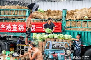 认真吃瓜的人群,揭秘认真吃瓜人群的奥秘