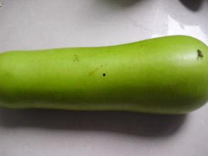 葫芦瓜甲状腺可以吃吗,探究可食用性及健康影响