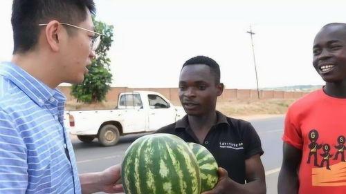 吃瓜的后果小说,揭秘娱乐圈背后的真相与代价