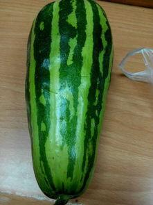 吃瓜都是在哪吃的,揭秘吃瓜群众的“瓜源”之地