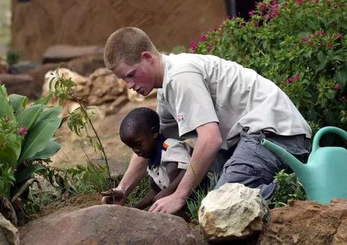吃瓜大城堡,一场全民参与的狂欢盛宴