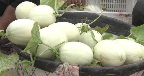 吃雪糕吃瓜会胖吗,吃雪糕、吃瓜真的会让人发胖吗？