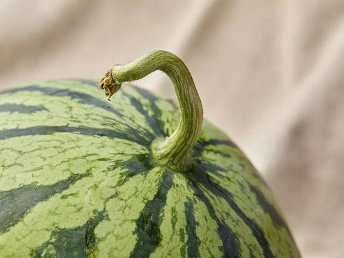 吃瓜认父,亲子鉴定背后的惊人真相